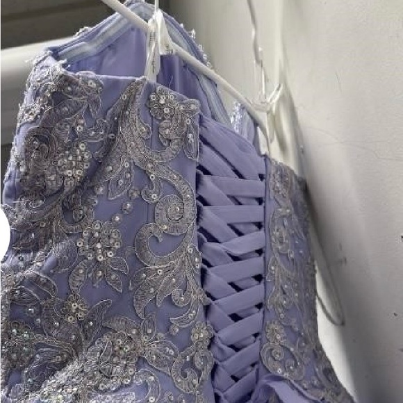 Princesa Ariana Vara Beautiful Gown - Picture 3 of 3